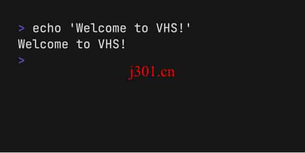 github_practical_vhs_3